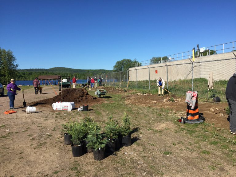 Horticultural Society Pitching in at Lakeshore Park for Canada 150