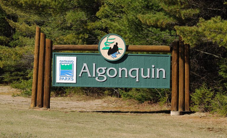 Man charged with assault at Algonquin Park 