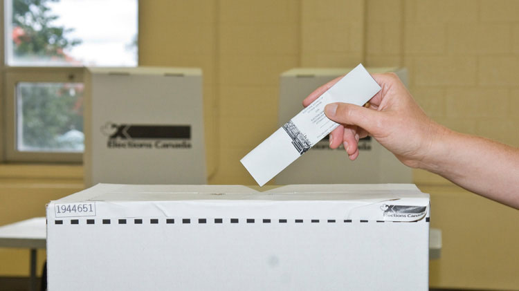 Municipal election information session Thursday in Barry’s Bay