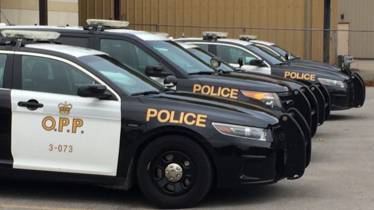 Killaloe OPP lay numerous driving charges