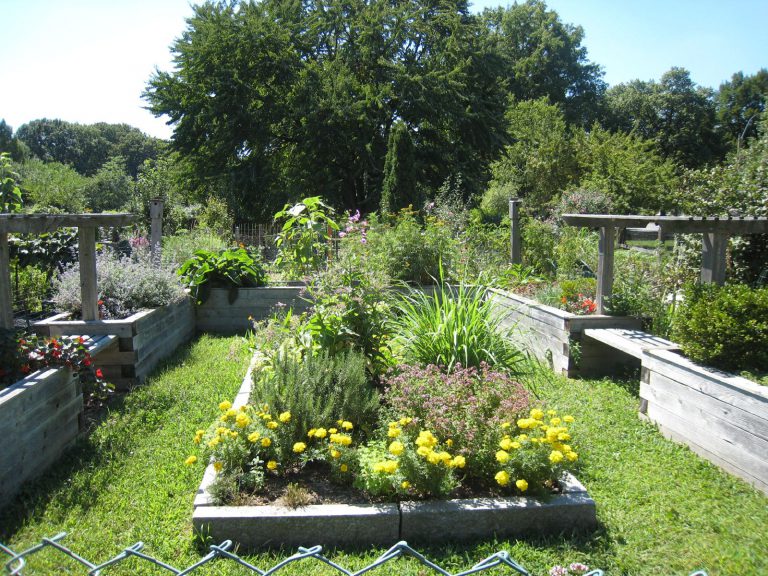 Garden and Vegetable Show Raises Money For Local Student Bursaries