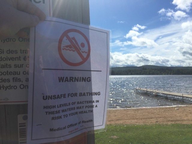 Wildlife Cause For Barry’s Bay Beach Posting