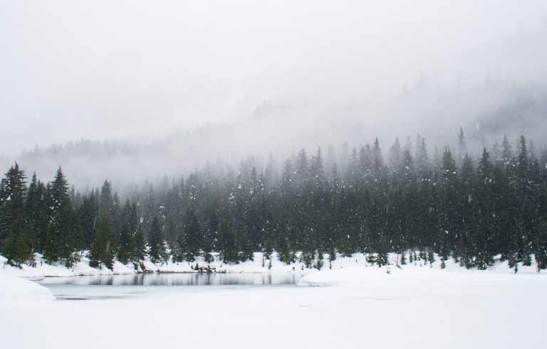 A Fun Winter Weekend is Coming to Rankin