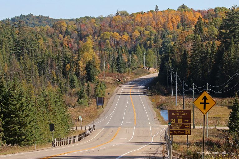 Boil Advisories in Algonquin Park Reduced to One