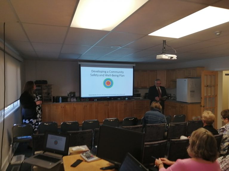 Madawaska Valley’s Joint Community Safety Well-Being Plan Starting to Take Shape