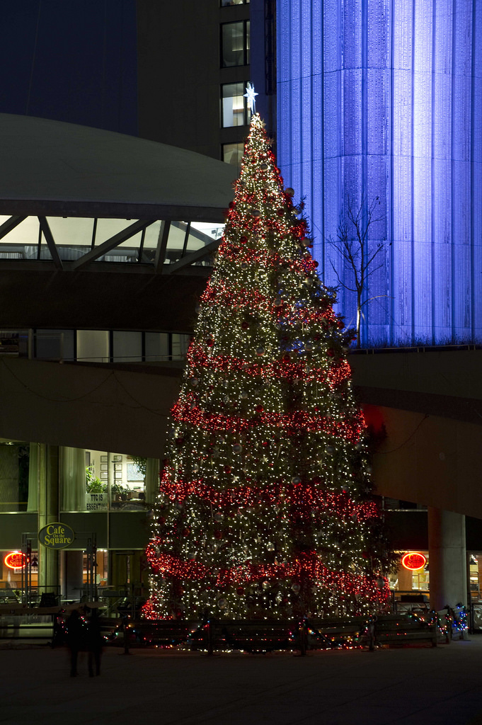 Toronto Christmas Market’s 50foot tree came from Bancroft area My