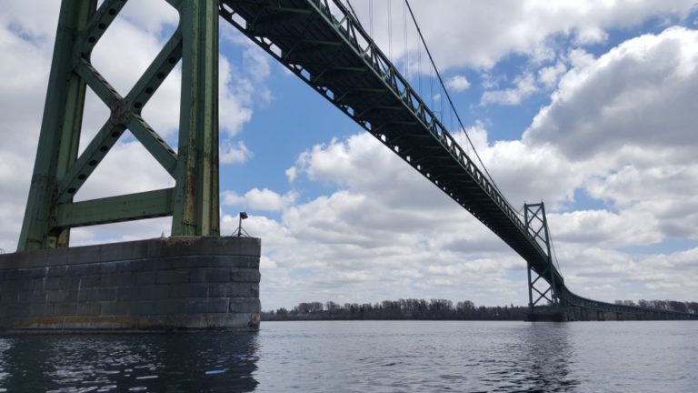 Ontario Premier Ford calls on Feds to close border to non-Canadians