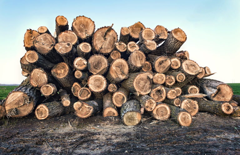 OPP are warning of a firewood sale scam