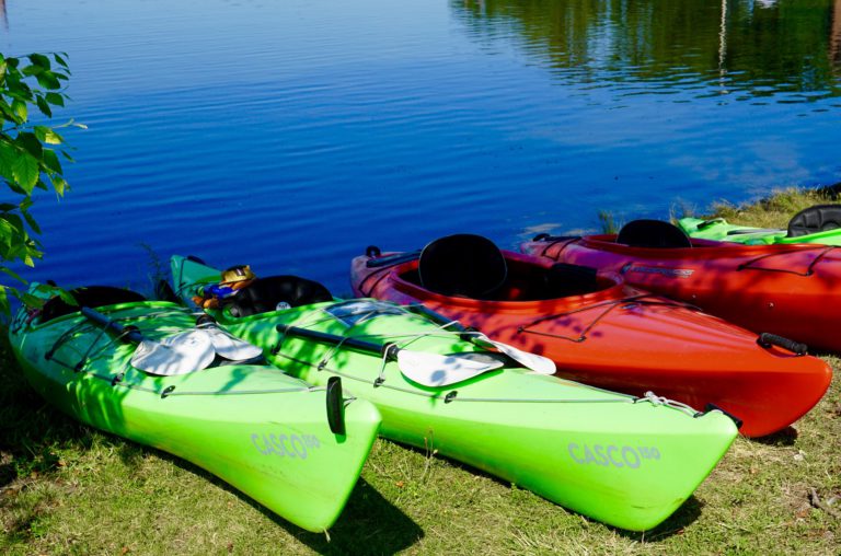 Boats to be considered invasive species carriers in the new year