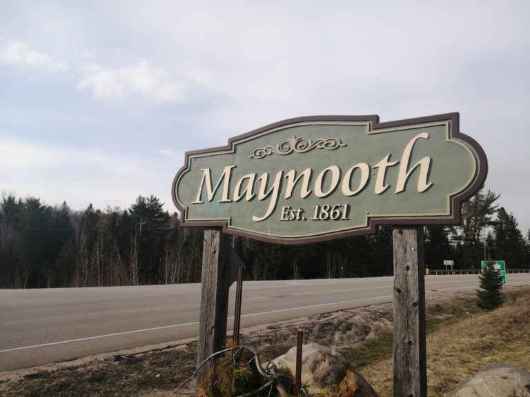 Live Nativity with live animals coming to Maynooth and area