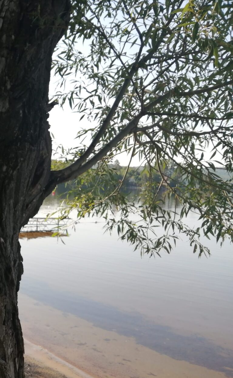 Registration now open for Madawaska Valley summer swim program