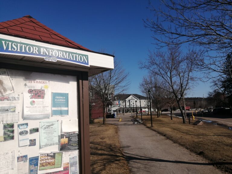 Madawaska Valley putting out call for vendors for 2022 Artisan Festival