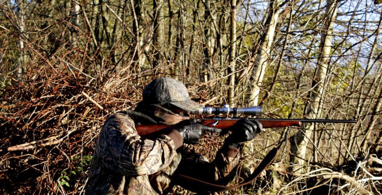 Stay safe during hunting season: Killaloe OPP  