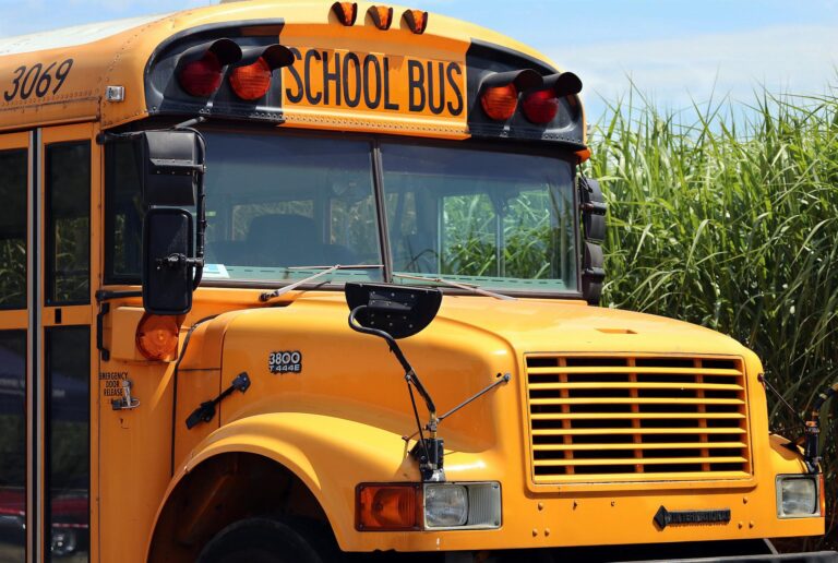 Drivers reminded about school bus safety