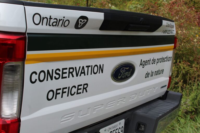 Lakefield man fined for unsafe duck hunting  