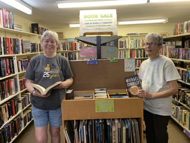 Need a summer read? Used book sale at MV library supports programs 