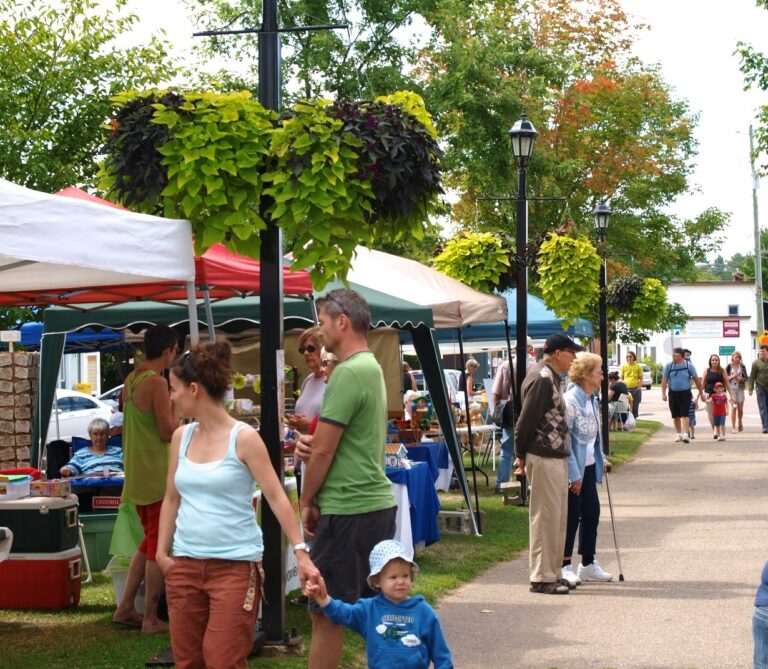 Artisan Festival brings vendors to Barry’s Bay Saturday 