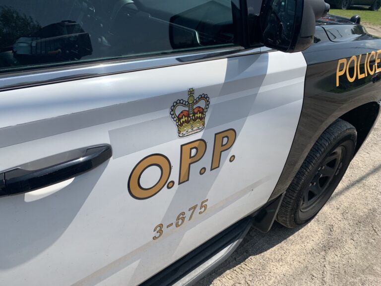 Killaloe OPP issue several arrests in late December