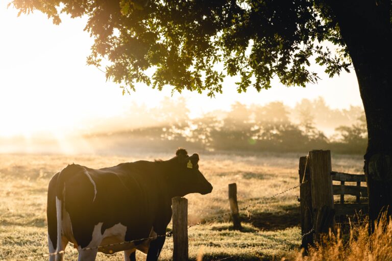 Farms Open in Renfrew County on Sunday 