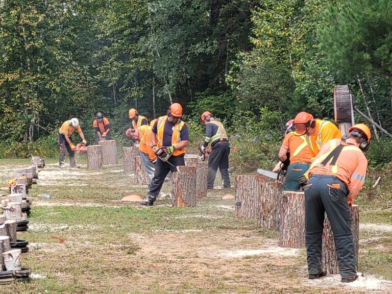 Logger Sports Festival will let lumberjacks show skills 