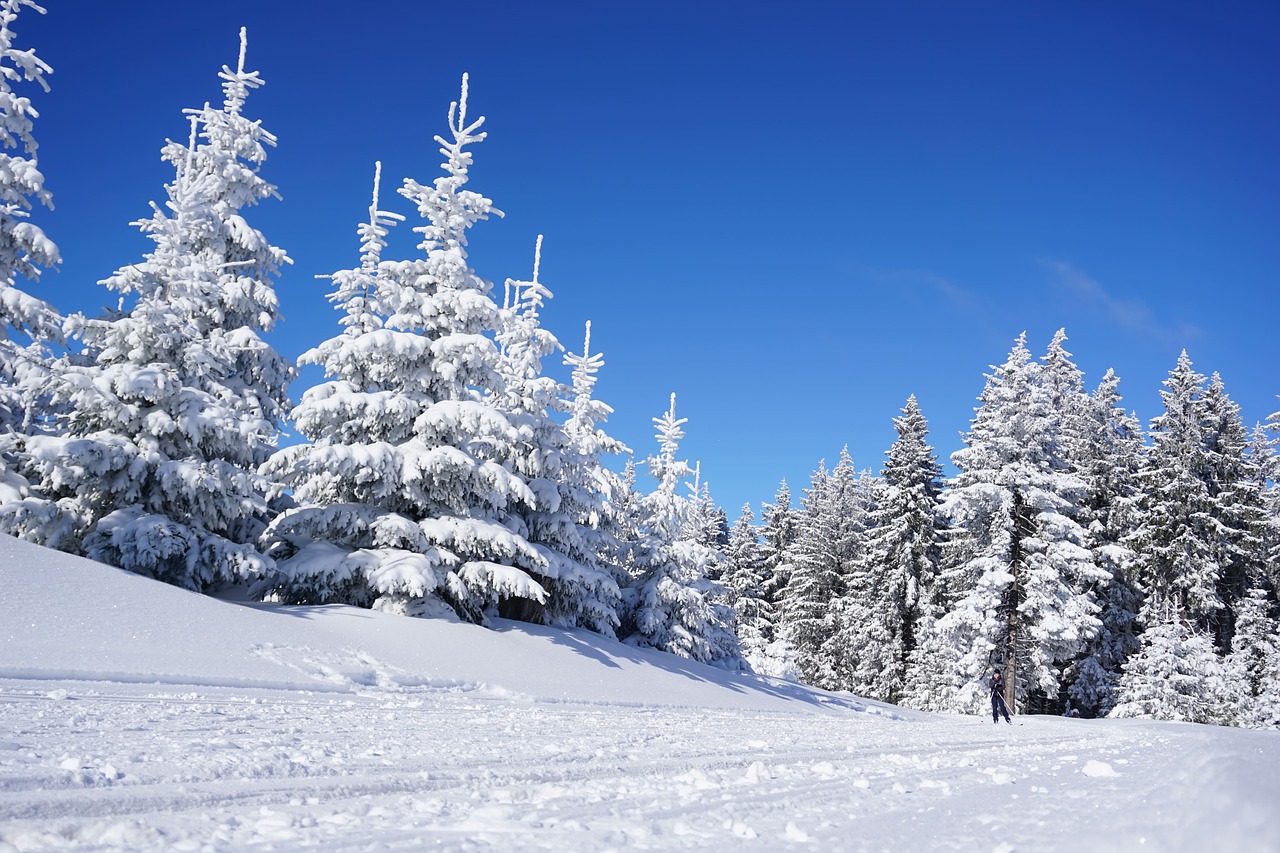 Algonquin Park ski trails are now open My Barry s Bay Now