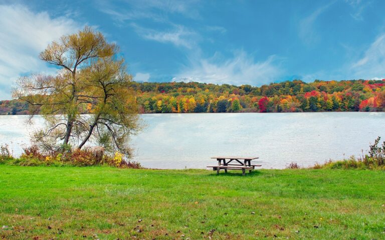 Madawaska Valley receives grant for accessible picnic tables 