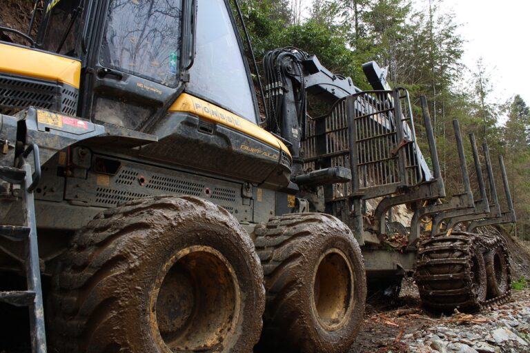 Driver of logging truck facing charge after sliding into ditch and spilling load of logs near Killaloe 