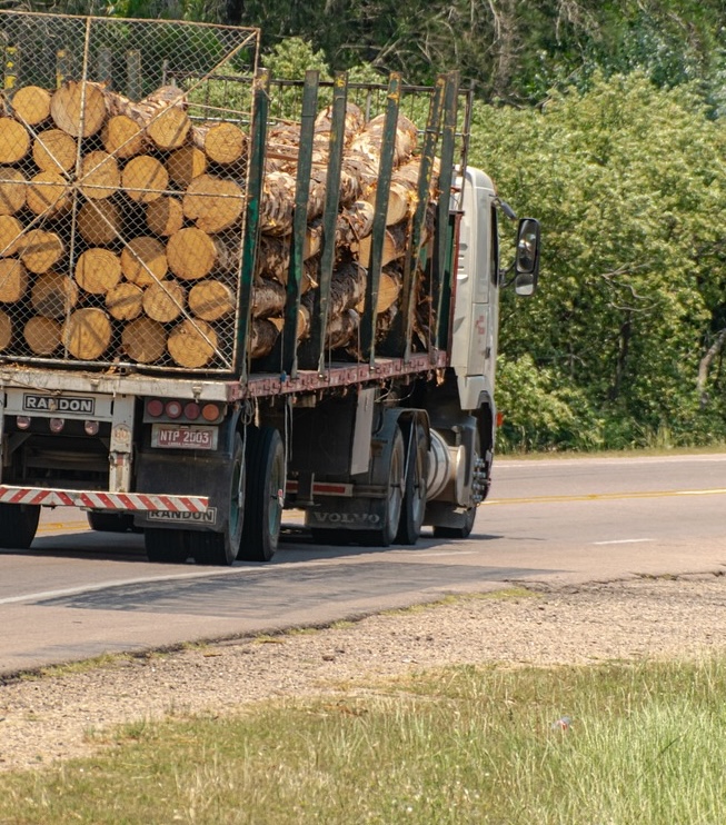 No injuries after logging truck spills load in Madawaska Valley