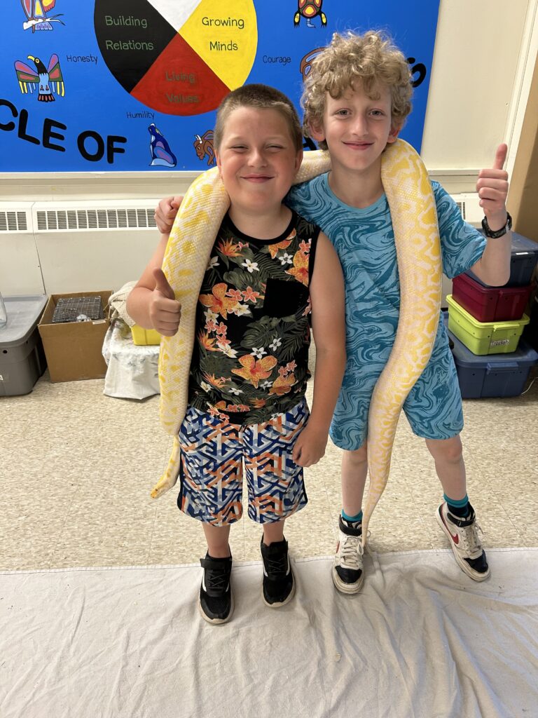 Hanging with Pythons and Chinchillas at Maynooth Public School 