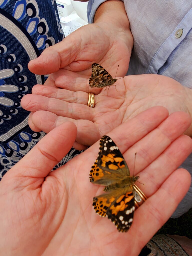 Madawaska Valley Hospice and Palliative Care training sessions start tomorrow 
