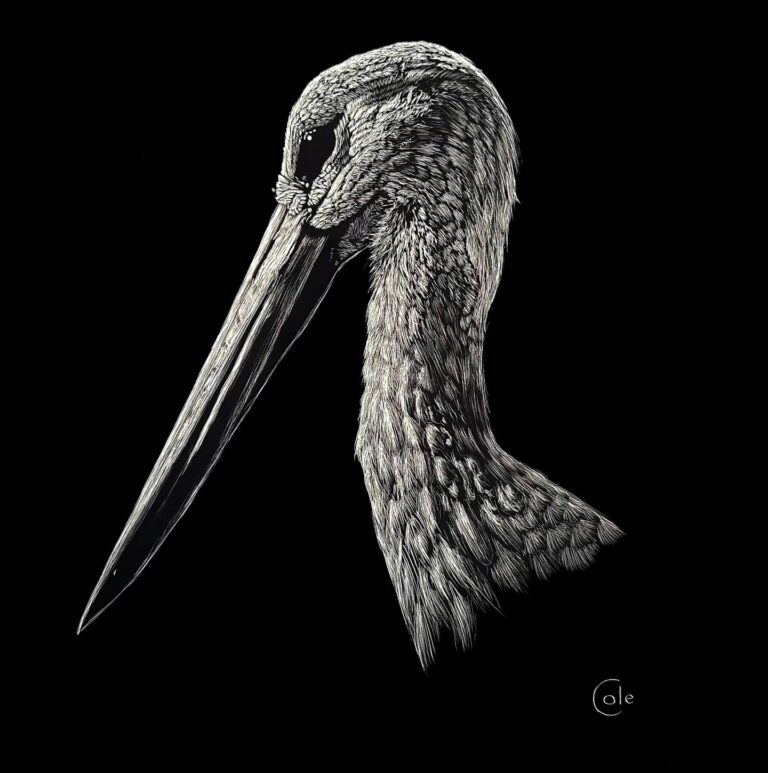 Opening reception for scratchboard artist Nathan Cole 