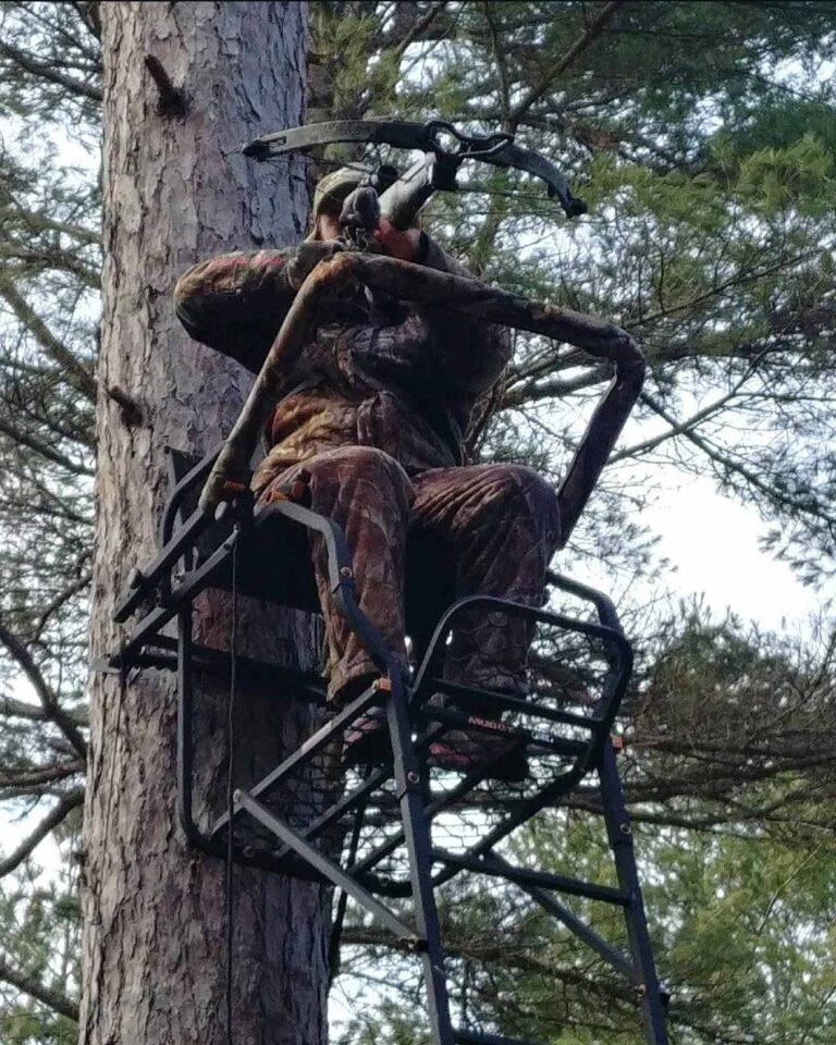 Bow hunting season less busy for those hunting on crown land