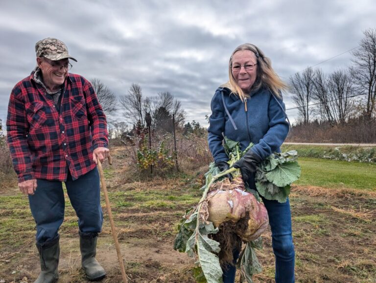 Local couple grows giant ‘Jack-o-lantern’ turnip 
