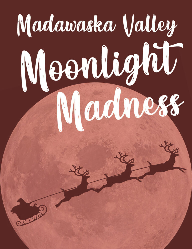 Barry’s Bay Library offers some ‘moonlight madness’ Friday