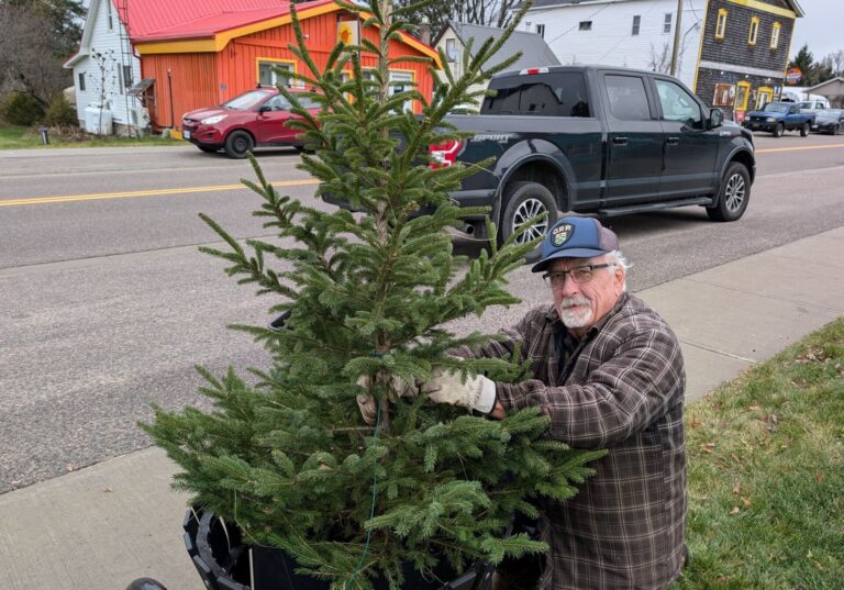 Making the streets festive in Maynooth: ‘Without him we’d be in trouble’ 