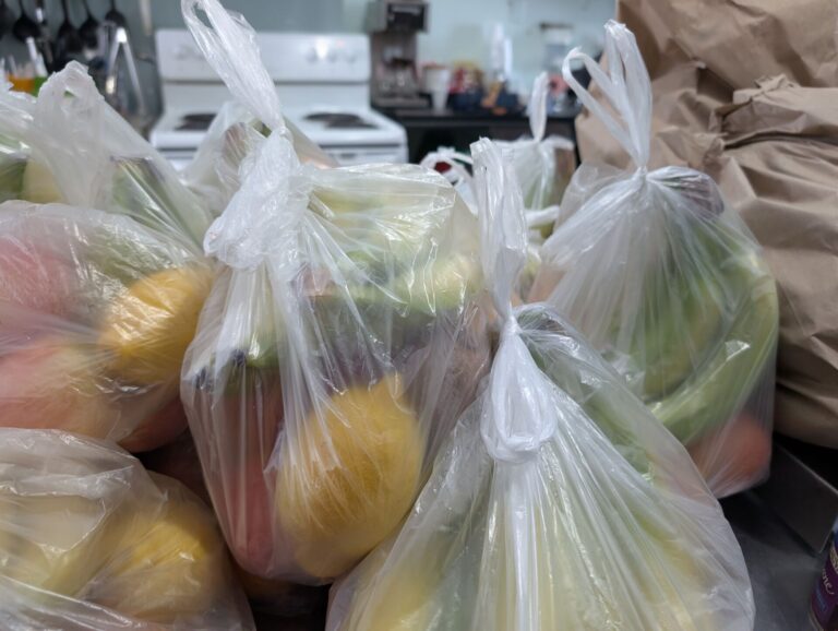 ‘It threatens physical and mental health’: Almost one in four people in our region are food insecure 