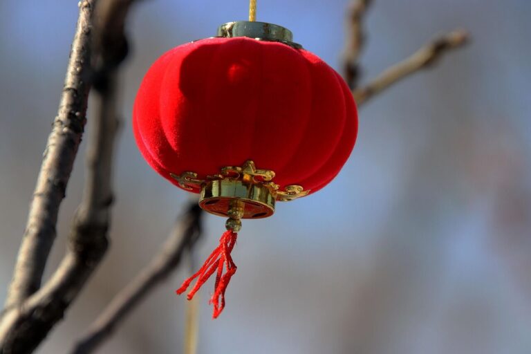 Chinese New Year starts today, celebrate this Friday at the library 