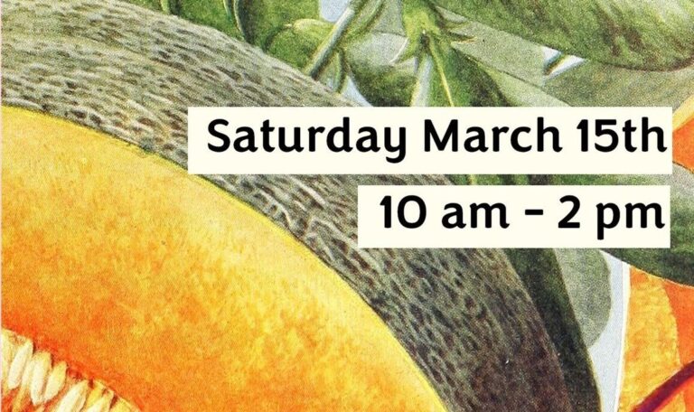 Get your gardens started at Seedy Saturday in Maynooth this weekend 