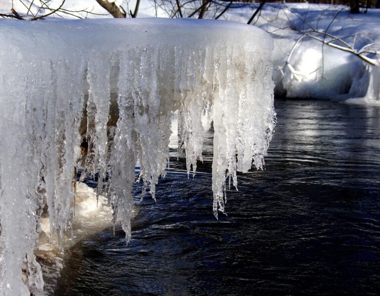 Wintry wallop: Locals breath a sigh of relief as neighbours endure