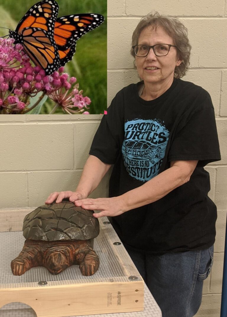 Helping turtles and butterflies with milkweed fundraiser 