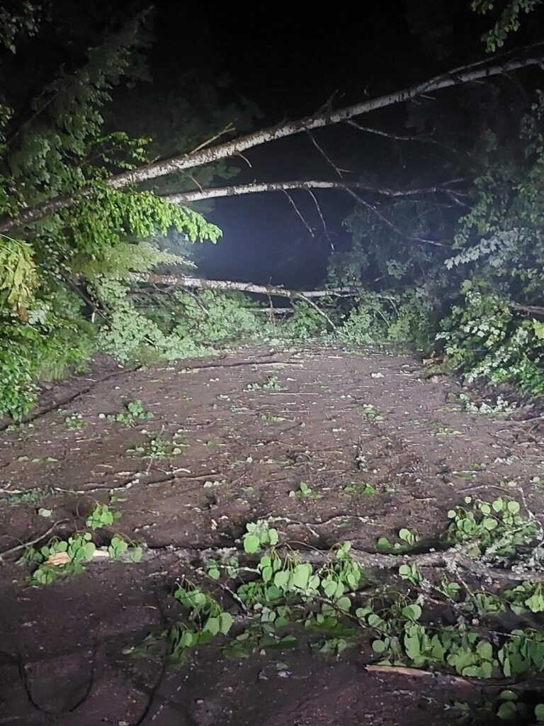 Algonquin Park assessing damage after severe storm hits region
